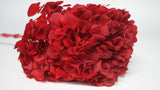 Hortensia Extra Preservada - 1 cabeza - Burdeos