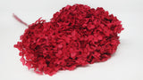 Preserved hydrangea Anna - 1 head - Red