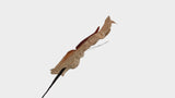 Anthurium conserva Earth Matters - 3 piezas - Rosa champán 131