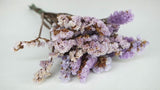 Statice preservado - 1 manojo - color natural violeta