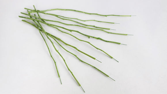 Tallos de flores preservadas Earth Matters - 10 tallos - Verde