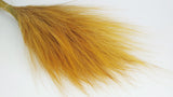 Barba grass preserved - 1 bunch - Saffron yellow