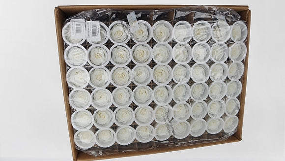 Rosas preservadas Kiara 5 cm - Granel 336 piezas - Blanco puro