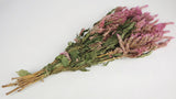 Celosia seca - 1 manojo - color natural rosa