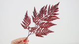 Leather fern preserved Premium - 6 stems - Red