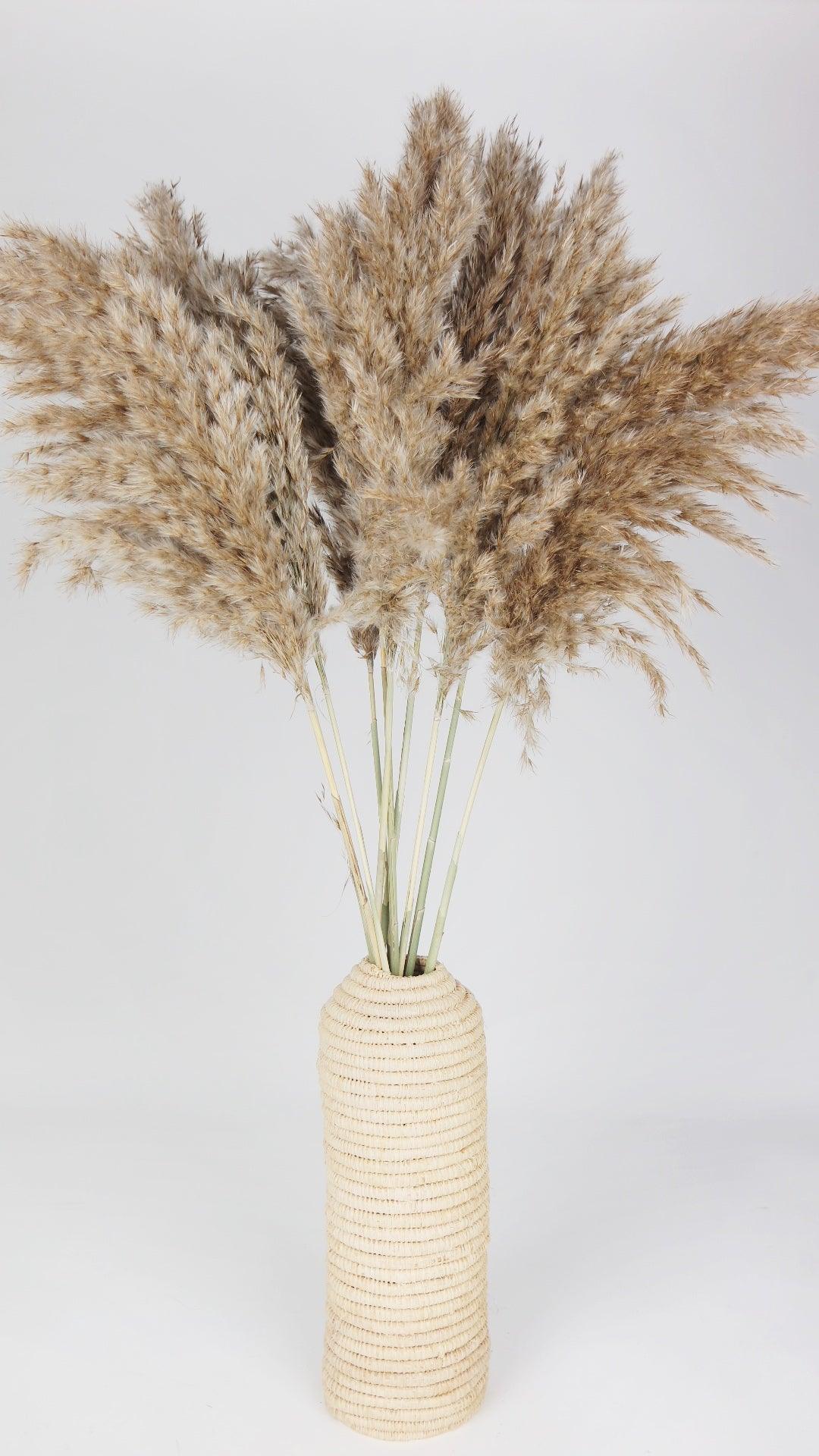 8 Erbe Pampas Finte 113 Cm - Viola, Soffici E Morbide, Per Decorazione Casa E Matrimoni - Foto 11
