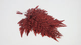 Felce Davalia stabilizzata - 6 steli - Rosso