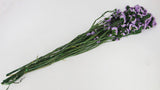 Statice preserved - 1 bunch  - Natural colour purple