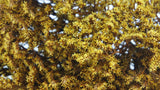 Dried tatarica - 1 bunch - Yellow